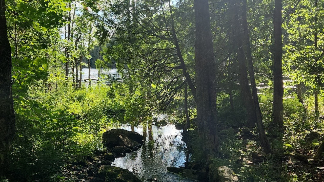Photo of Outdoor in Irondale