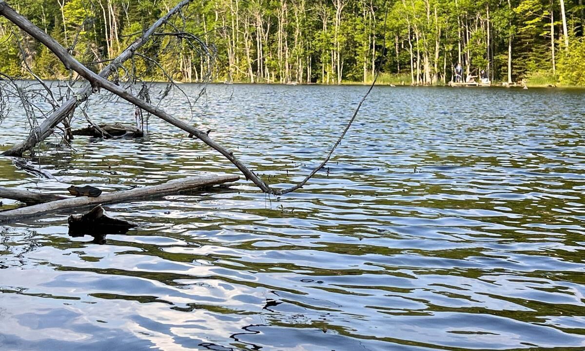 Photo of Others in Irondale