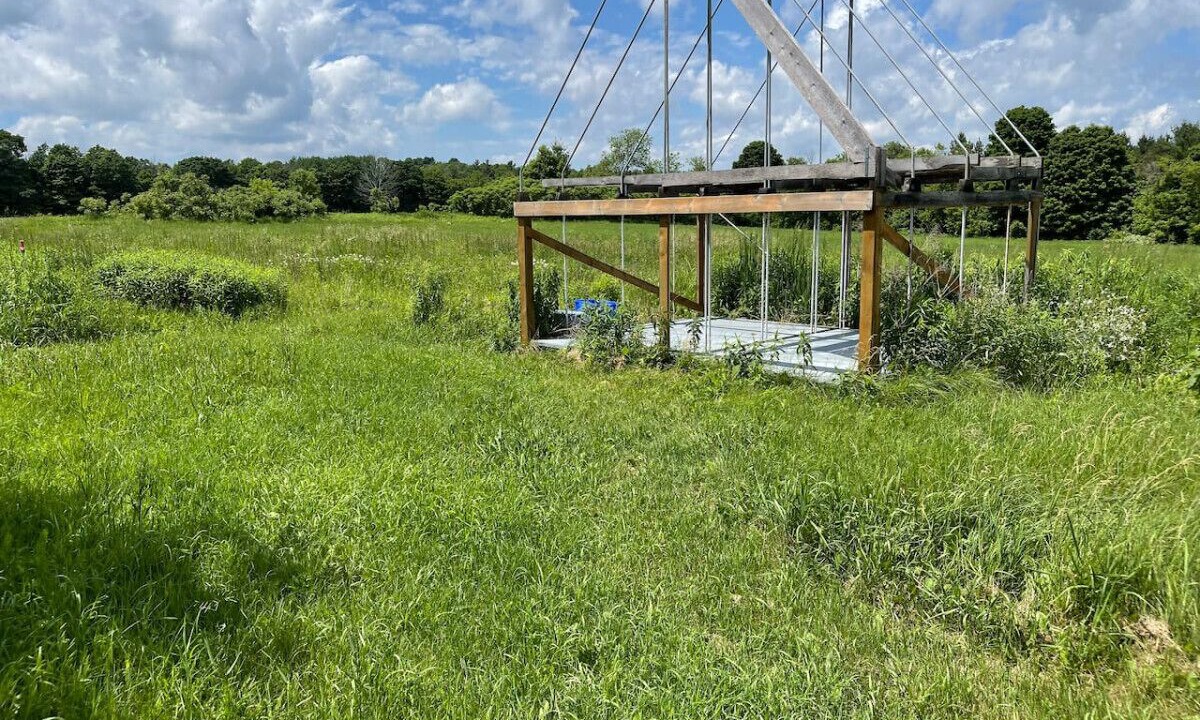 Photo of Outdoor in Cramahe