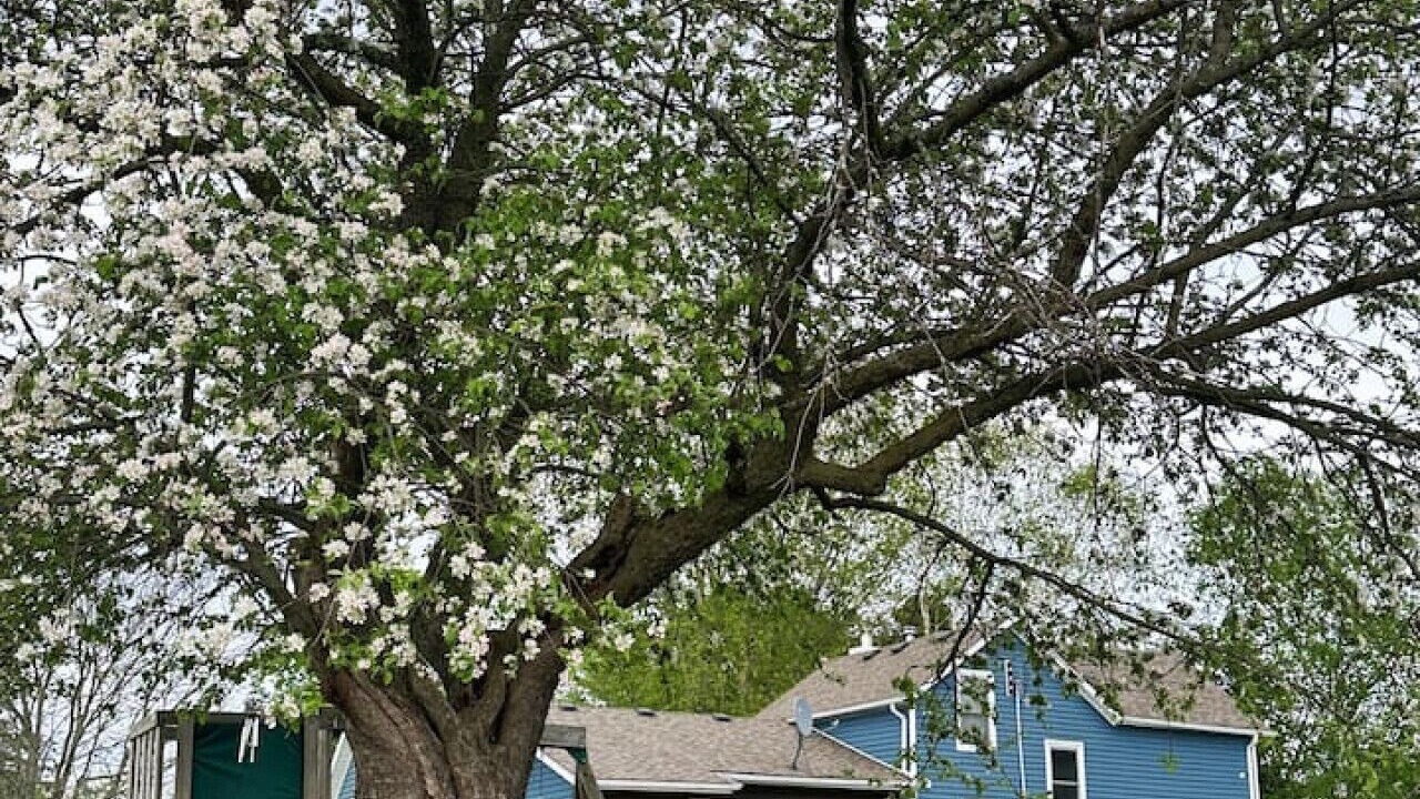 Photo of Outdoor in Cramahe