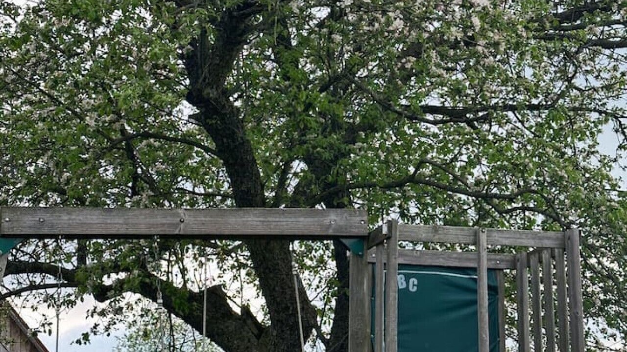 Photo of Outdoor in Cramahe