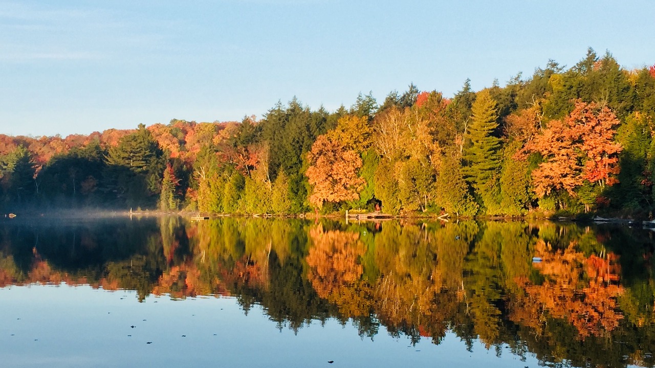 Photo of Others in Lake of Bays