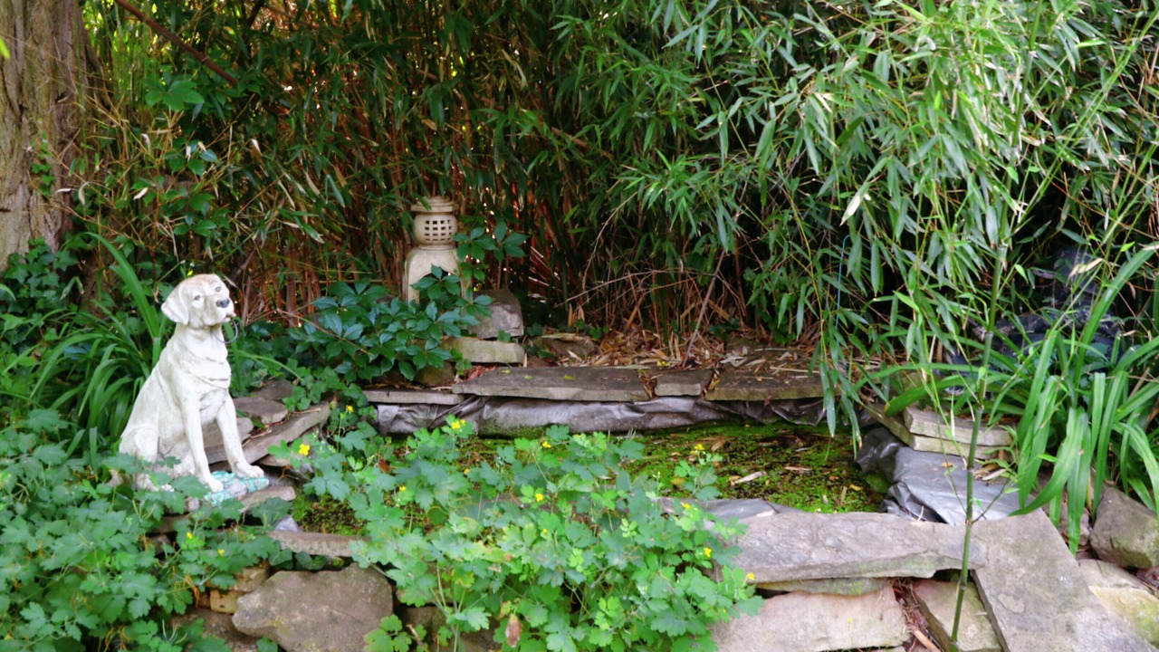 Photo of Outdoor in Queenston