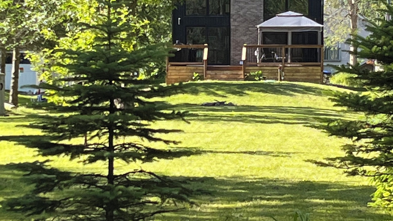 Photo of Outdoor in Brechin