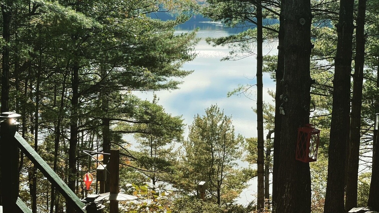 Photo of Outdoor in Sharbot Lake