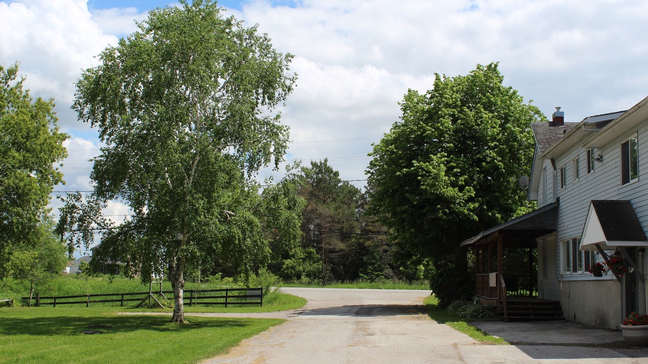 Photo of Outdoor in Springwater