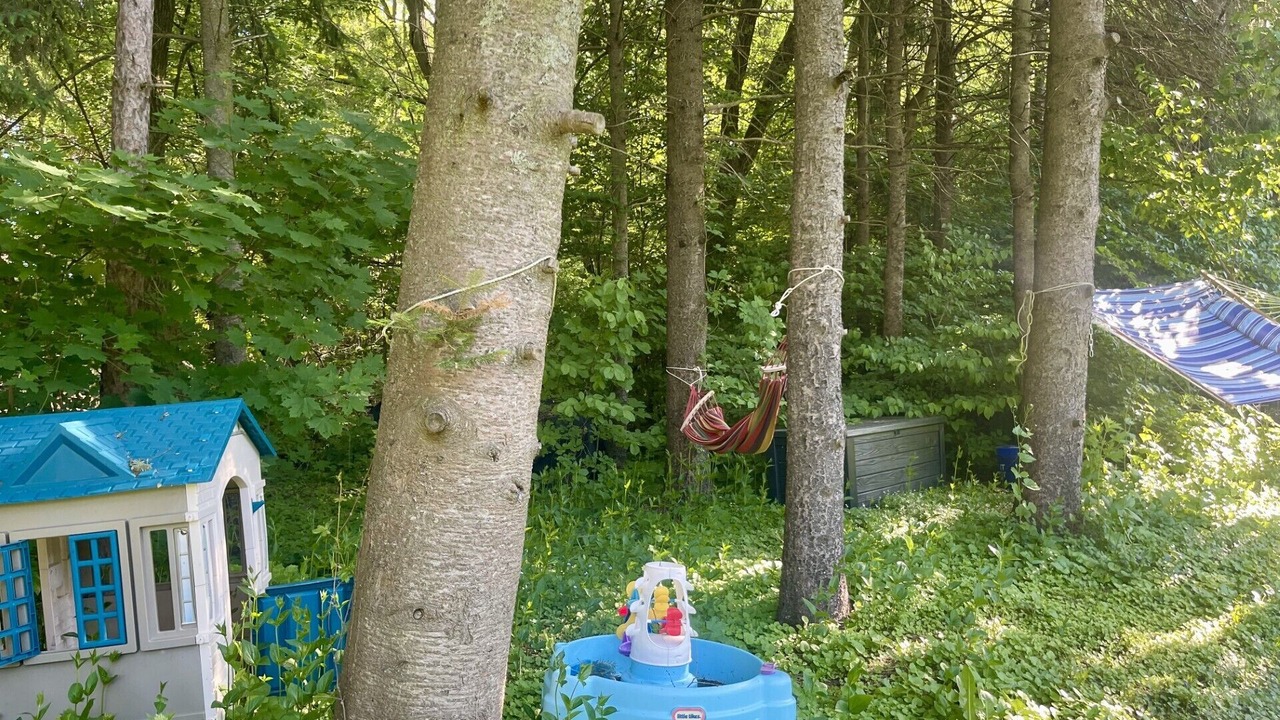Photo of Outdoor in King