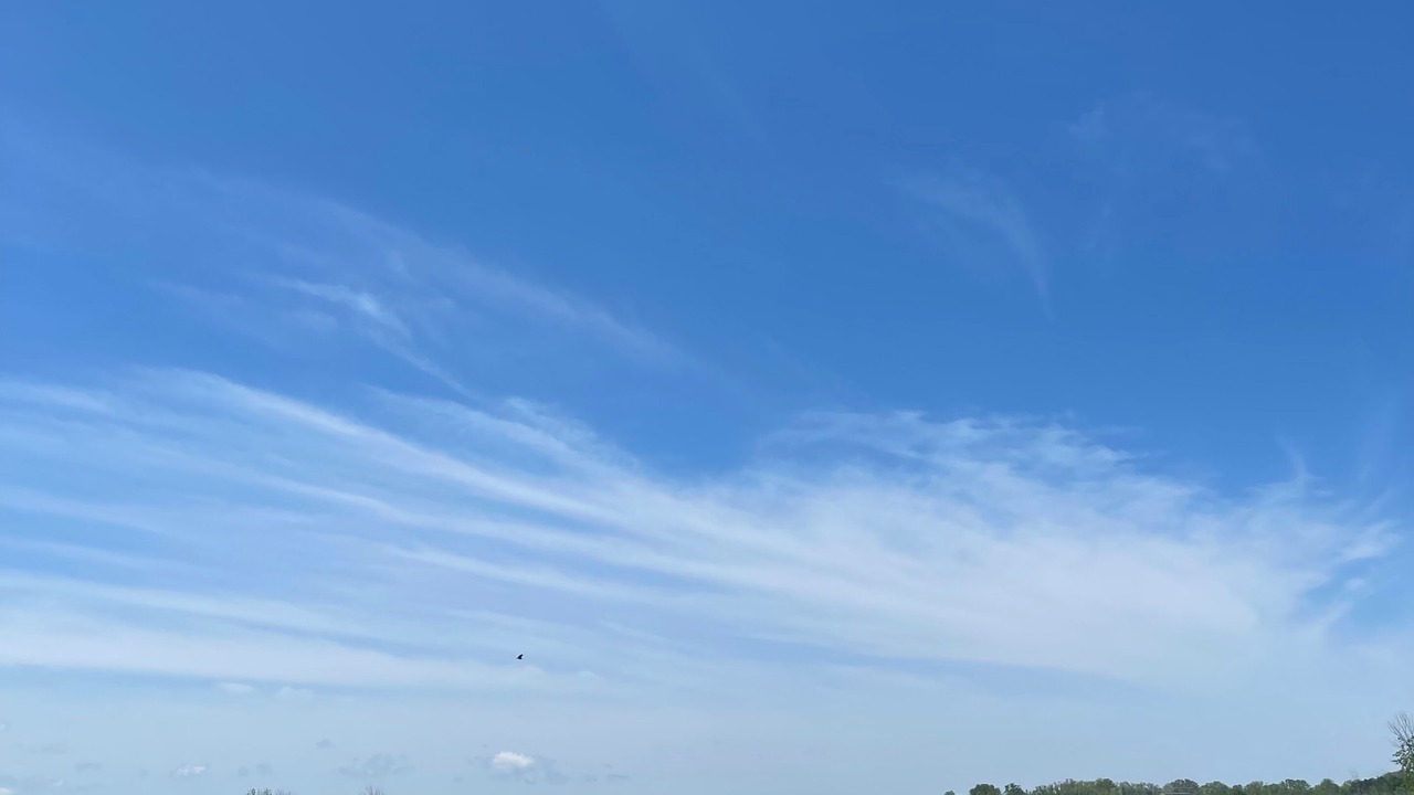 Photo of Others in Georgian Bay