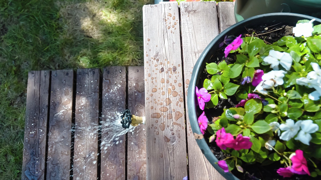 Photo of Outdoor in Manitoulin District