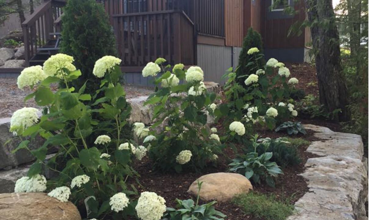 Photo of Outdoor in Highlands East