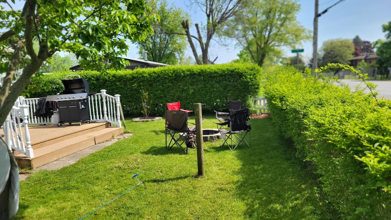 Photo of Outdoor in Selkirk