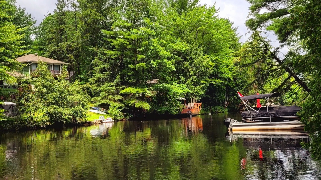 Photo of Others in Washago