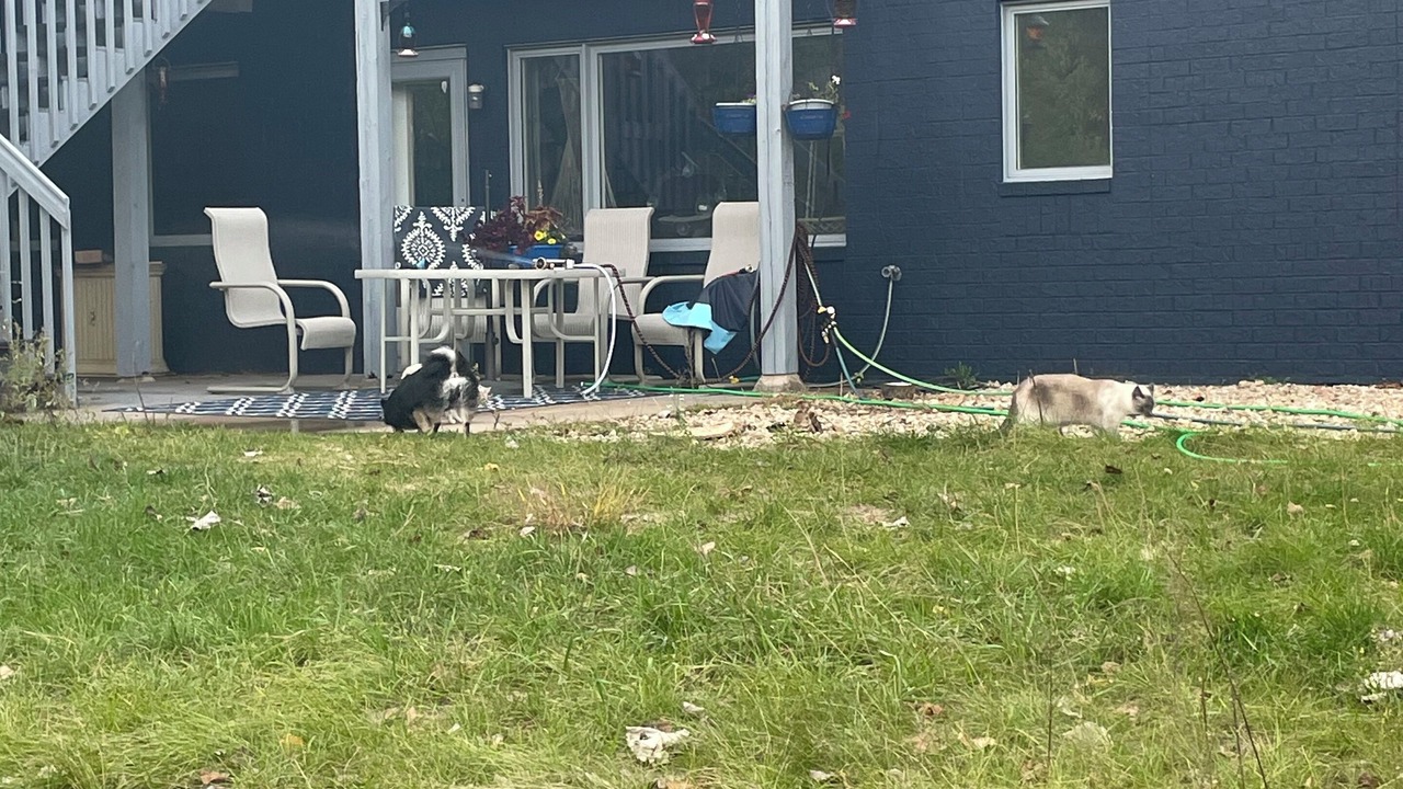 Photo of Outdoor in East Bethel