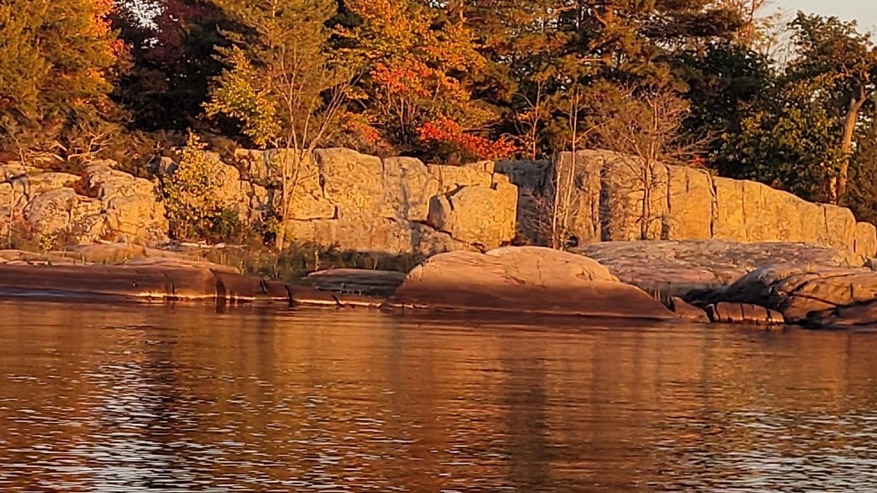 Photo of Others in Honey Harbour