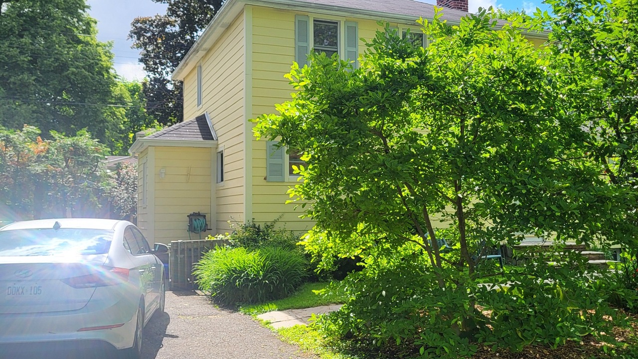 Photo of Outdoor in Manor Park