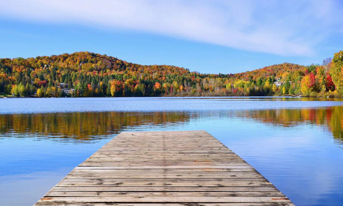 Photo of Outdoor in Harcourt