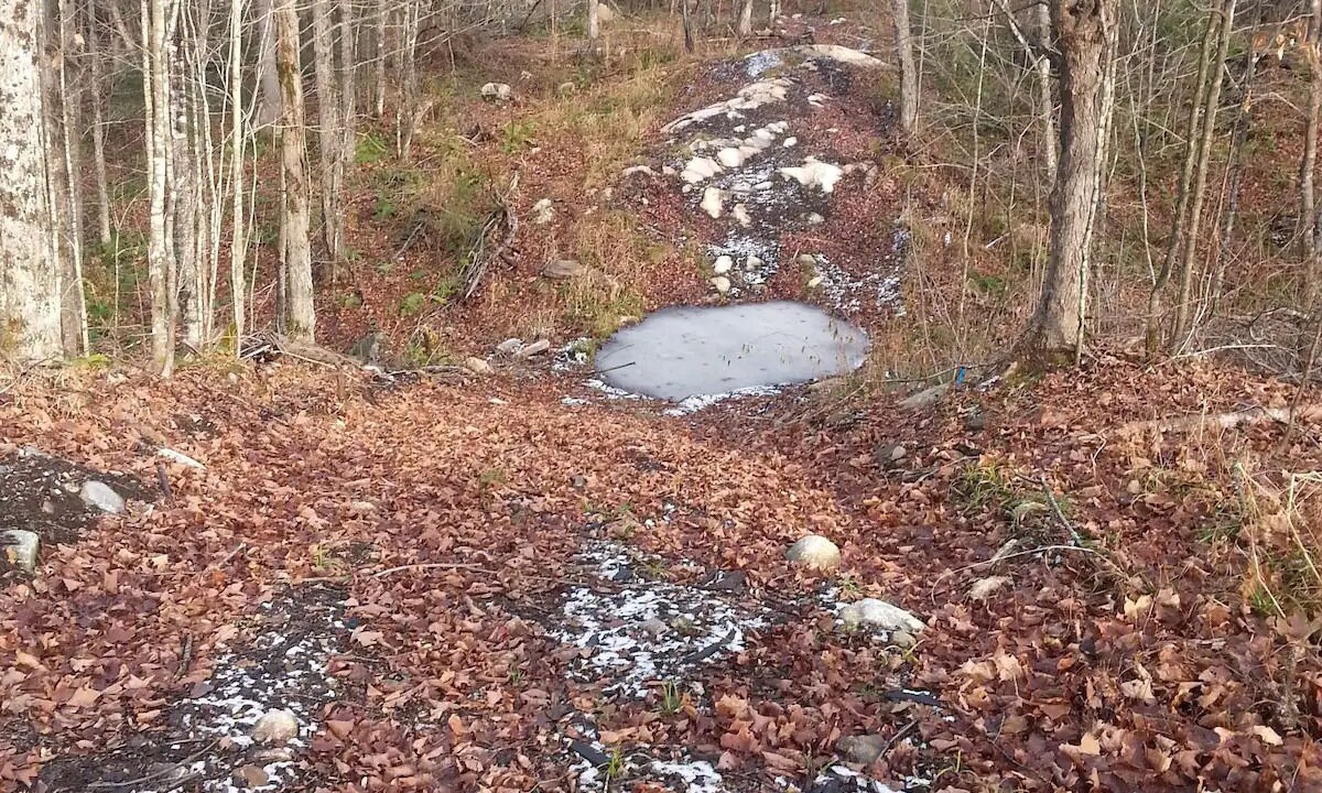 Photo of Outdoor in Harcourt