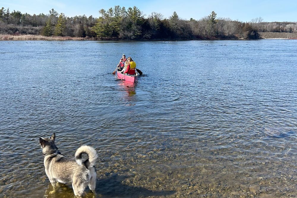 Photo of Others in Campbellford