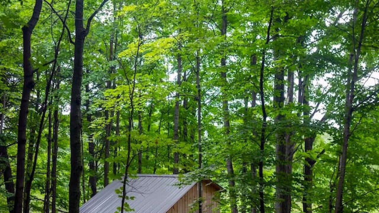 Photo of Outdoor in Caledon