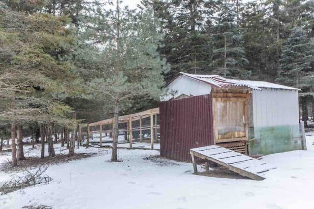 Photo of Outdoor in Kawartha Lakes