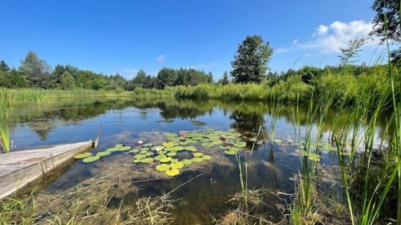 Photo of Outdoor in Kawartha Lakes