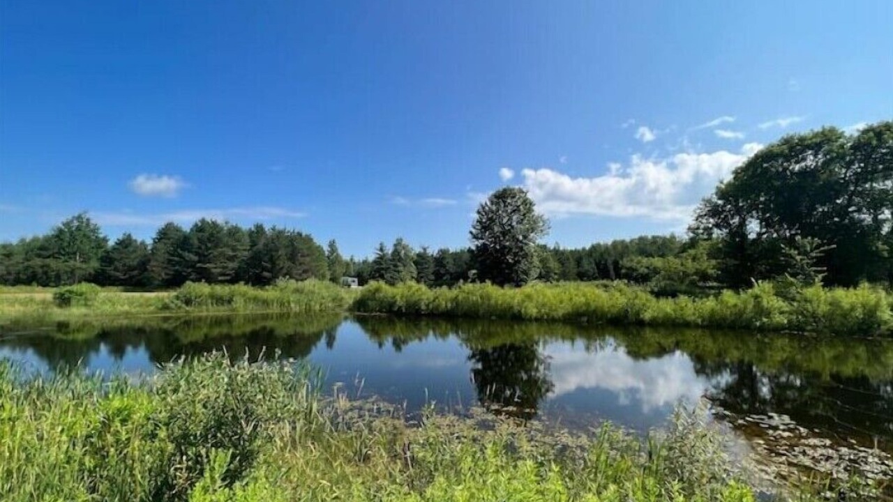 Photo of Outdoor in Kawartha Lakes