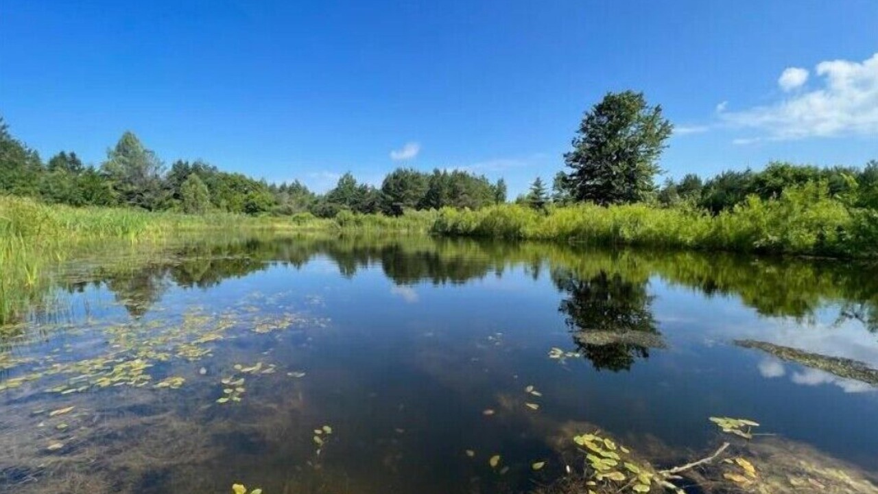Photo of Others in Kawartha Lakes