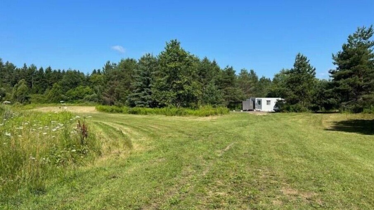 Photo of Others in Kawartha Lakes