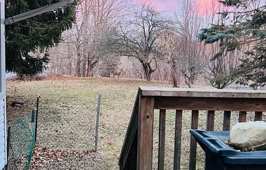 Photo of Outdoor in Central Elgin