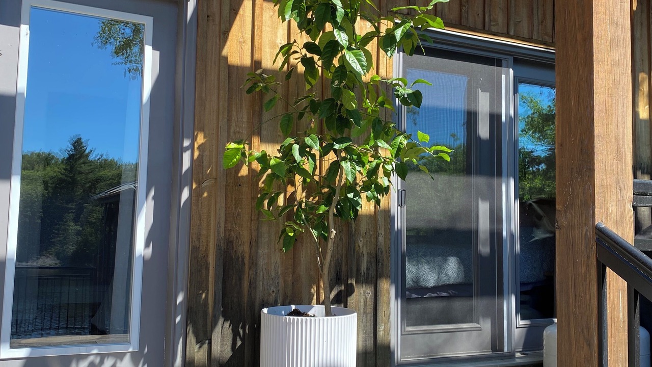 Photo of Outdoor in The Archipelago