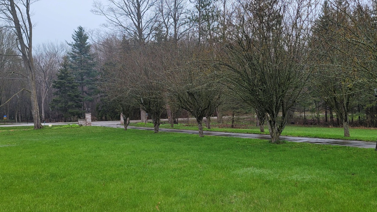 Photo of Others in Puslinch