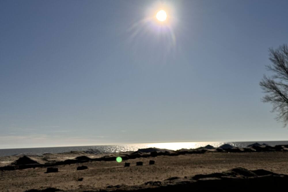 Photo of Others in Long Point