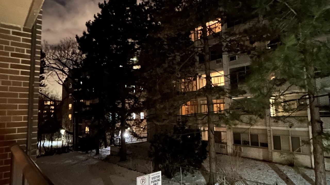 Photo of Outdoor in Forest Hill South