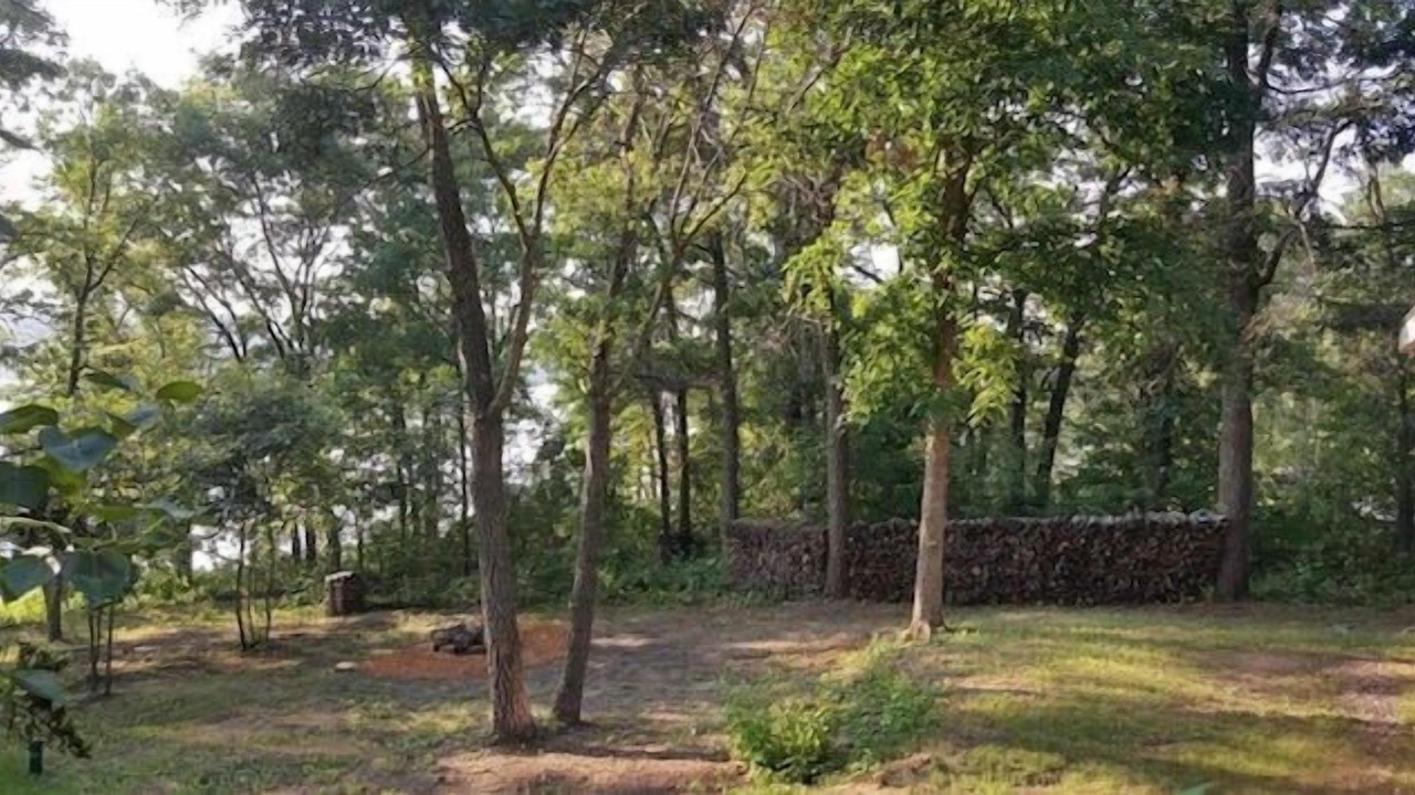 Photo of Outdoor in Pillager