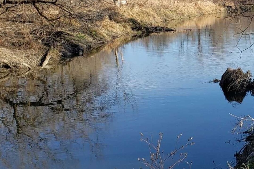 Photo of Outdoor in York Regional Municipality