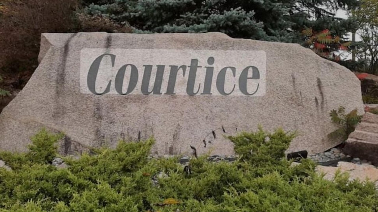 Photo of Others in Courtice