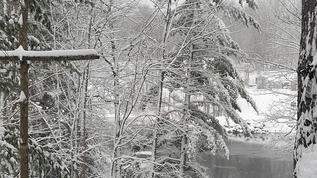 Photo of Others in Washago