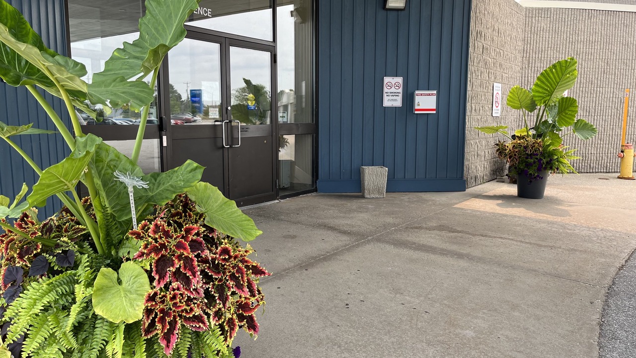 Photo of Outdoor in Sarnia