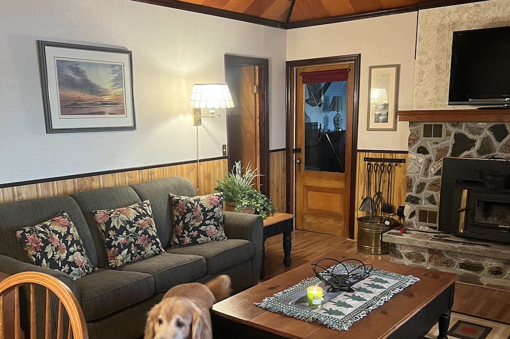 Photo of Livingroom in Lake St. Peter
