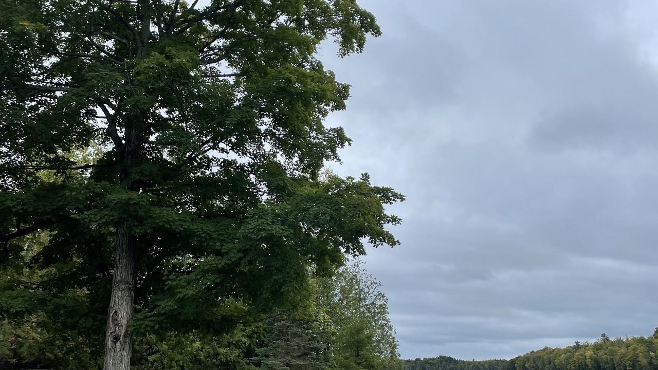 Photo of Others in Greater Madawaska
