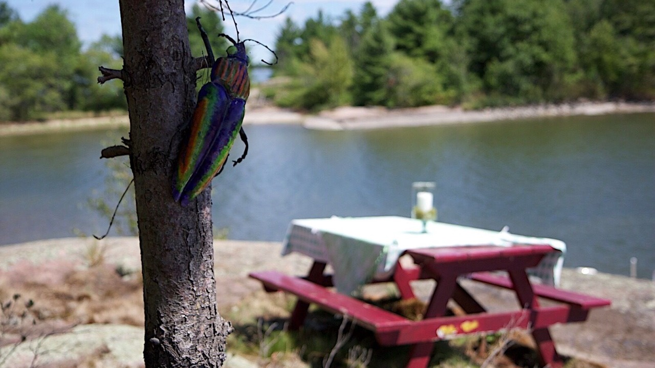 Photo of Outdoor in Nipissing