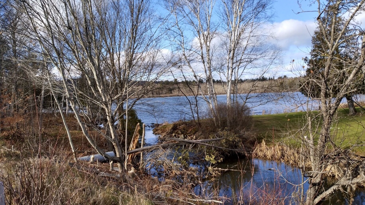 Photo of Outdoor in Madawaska Valley