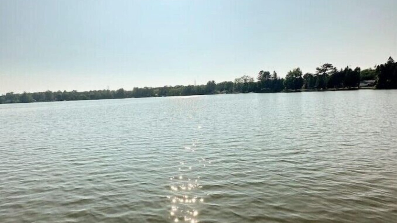 Photo of Others in Washago