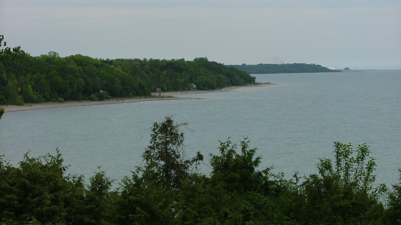 Photo of Others in Port Albert