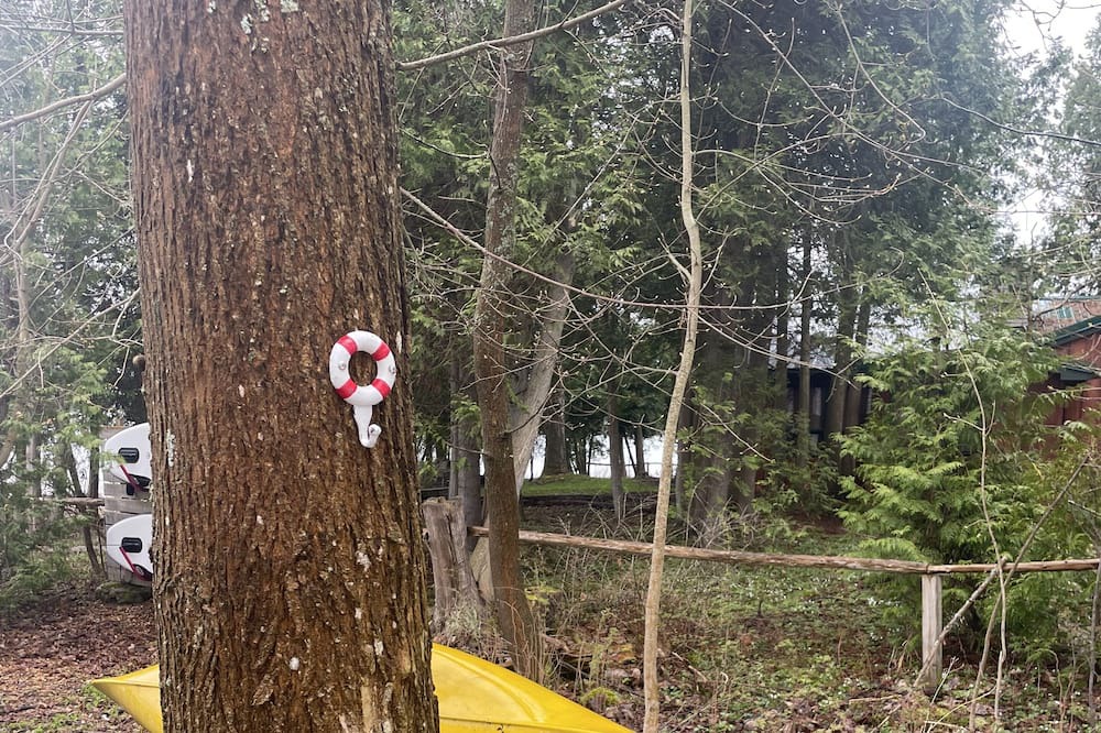 Photo of Outdoor in South Bruce Peninsula