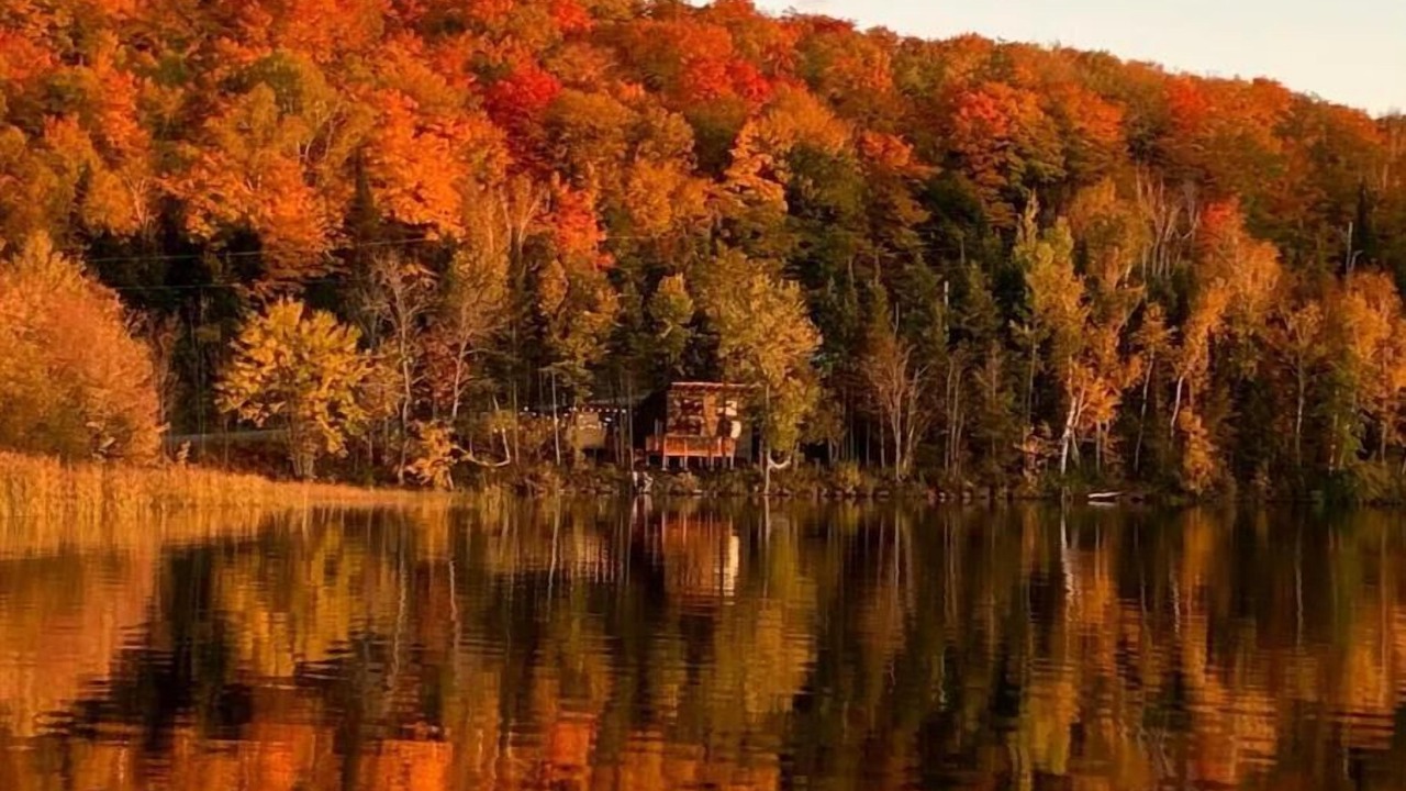 Photo of Others in Temagami