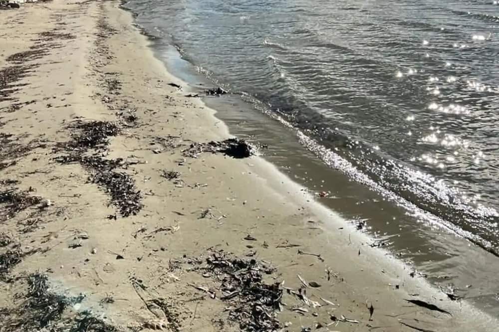 Photo of Others in Lagoon City