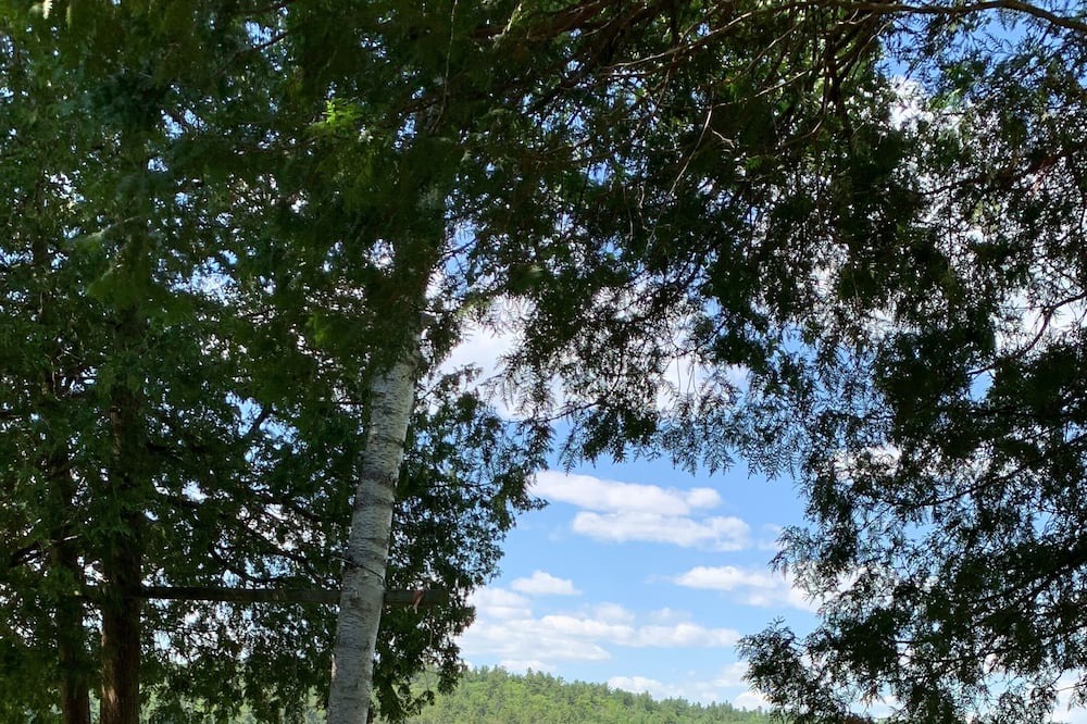 Photo of Outdoor in Cloyne