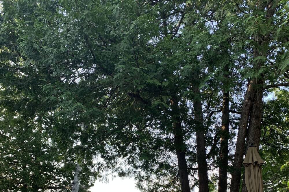 Photo of Outdoor in Cloyne