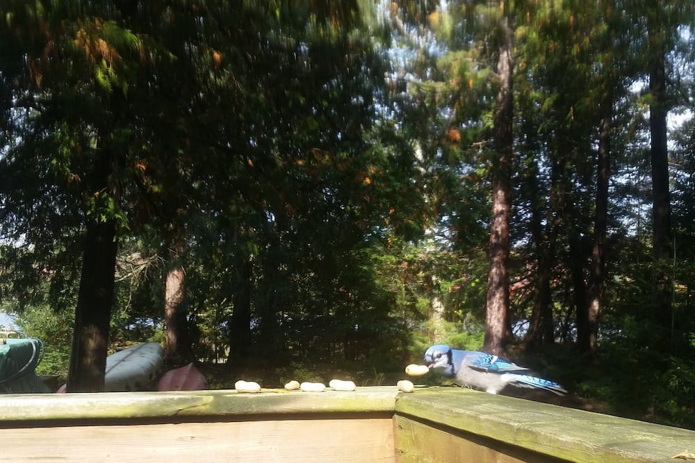 Photo of Outdoor in Cloyne